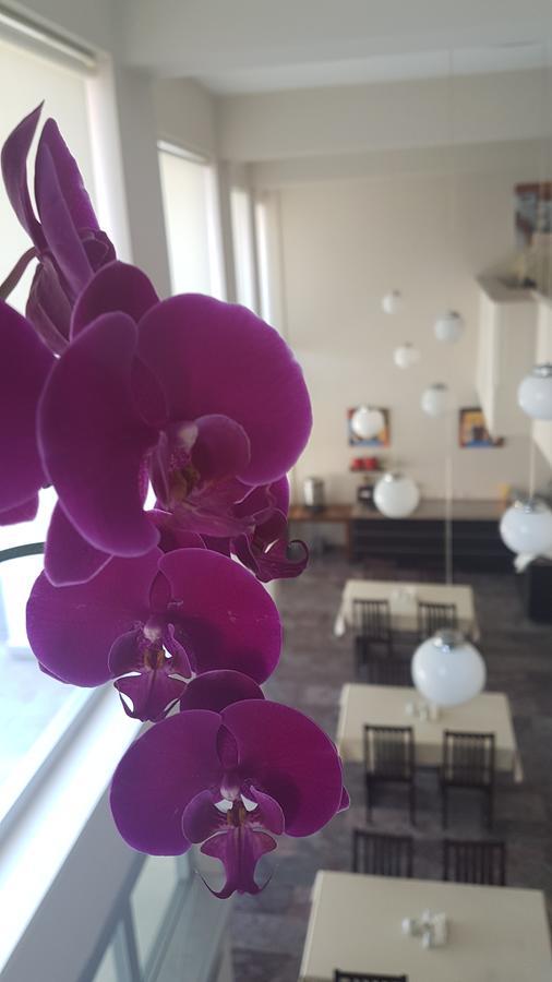 İleri Hotel&Apartments Çeşme Buitenkant foto